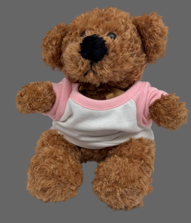 Classic Teddy Bear Plush – Pink & White Shirt