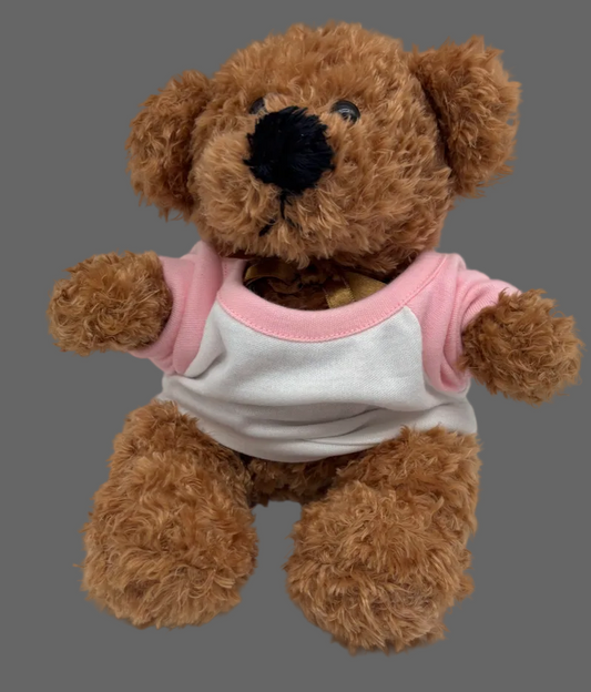 Classic Teddy Bear Plush – Pink & White Shirt