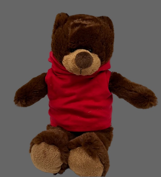 Classic Teddy Bear Plush – Red Hoodie